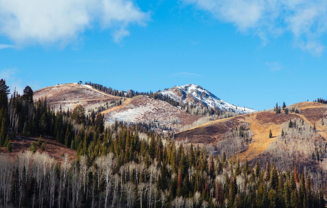 Flagstaff Three Bedroom Suite With Majestic Mountain Views Condo Park Stadt Exterior foto